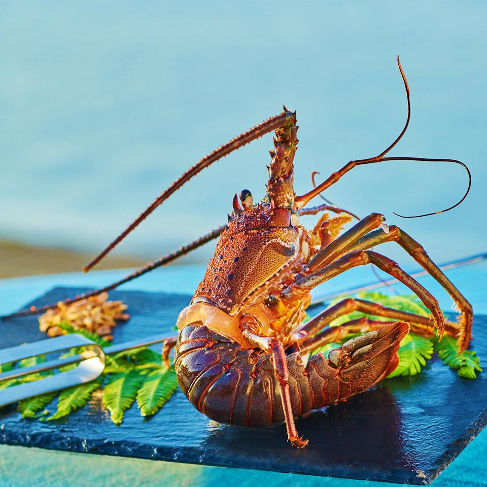 目と舌で味わうBBQディナー
