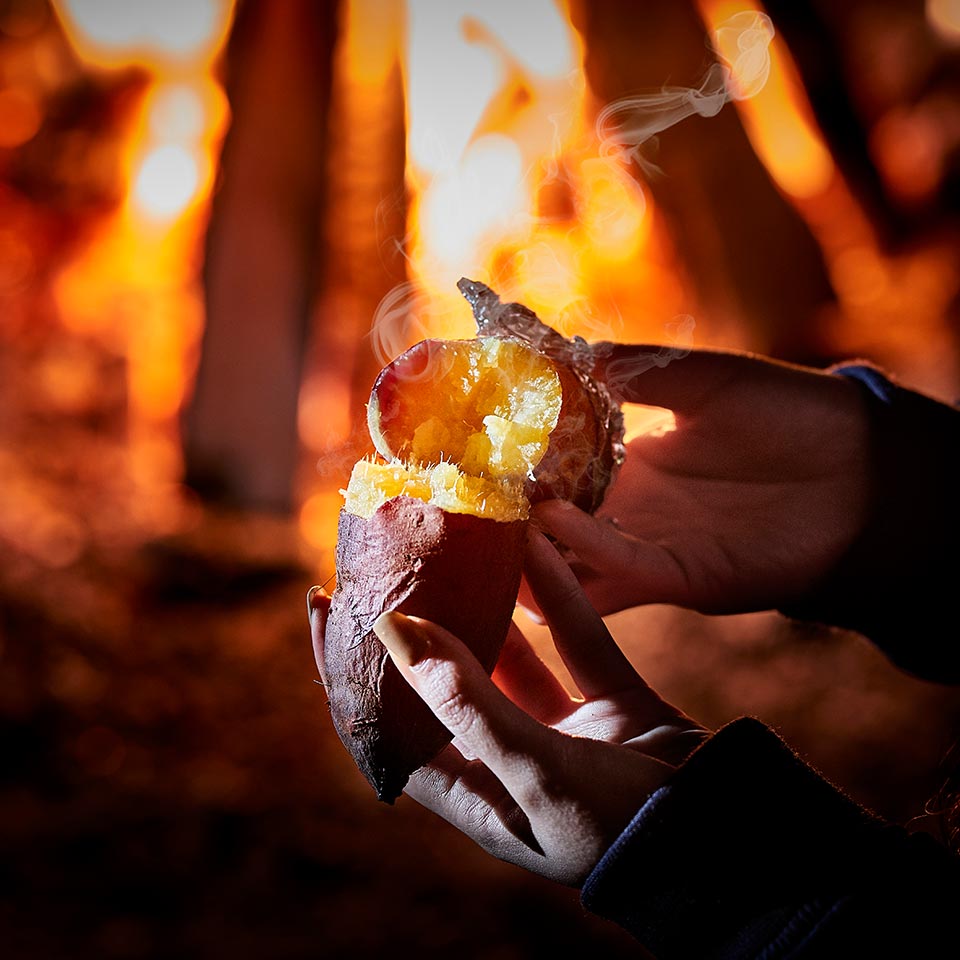 春・冬の楽しみ方